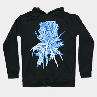 staghorn fern Hoodie